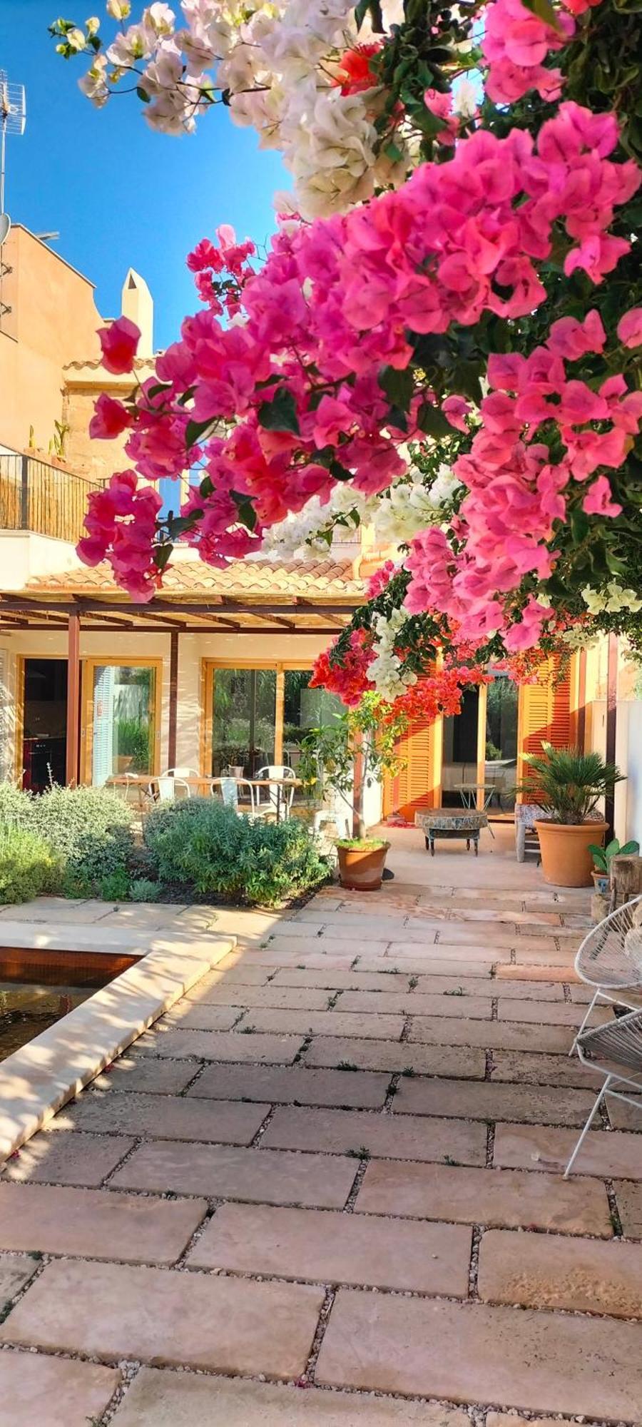 Idayvuelta & With Private Pool Gasthuis *